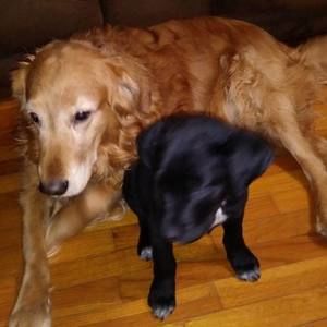 Meet your Posher, Angie